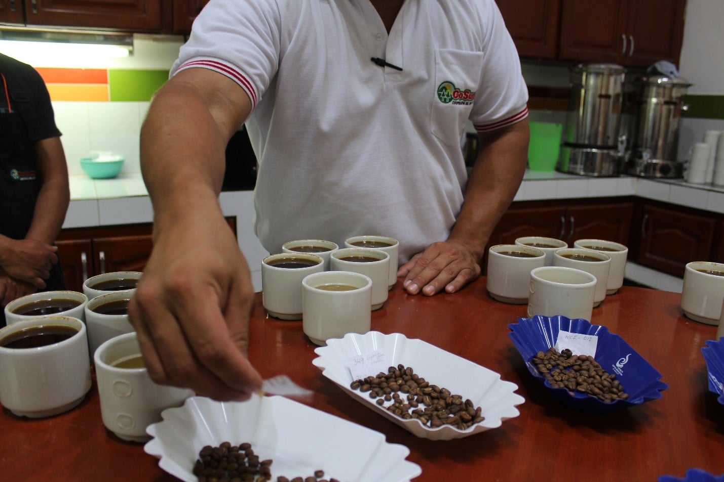 Cosurca coffee beans